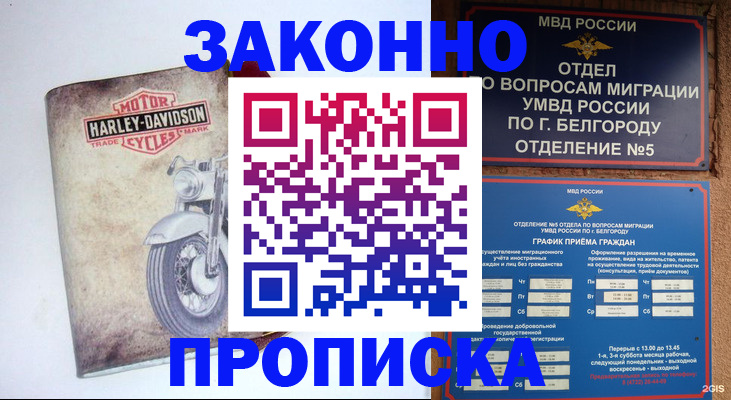прописка для школы в Аркадаке